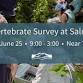 Macroinvertebrate Survey at Salmon Creek