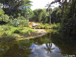 Small River Fields Of Cuba Cuba River Outdoor