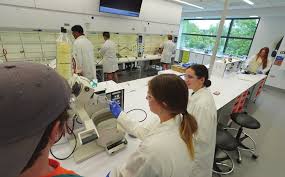 Carbohydrate catalysis: