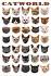 Cat Breed Info Center - List of All Cat Breeds by Type ...