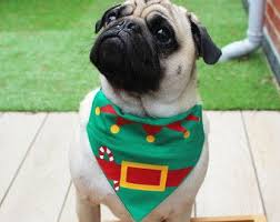 Noel Chien Bandana Noel Chien Costume Costume De Lutin De Chien Chien Bandana Elf Bandana Habillage De Chien Chien Bandana Chien Costume Chien Chien Noel