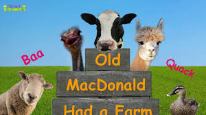 Old Macdonald Had A Farm Real Animals Cow Pig Dog Duck Sheep I Ipad Tab Pig Dog Animals Animal Nursery Rhymes