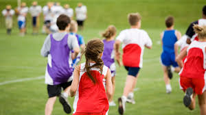 Boys' Cross Country results: Nov. 8