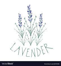 Lavender Flower Logo Design Text Hand Drawn Download A Free Preview Or High Quality Adobe Illustrator Ai Eps Pd Flower Logo Design Flower Logo Logo Design