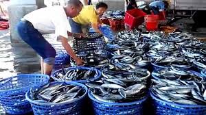 「澳底」的圖片搜尋結果