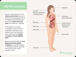 Intermediate back muscles and c. Ibs Pain Guide Types Locations And Treatments