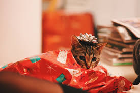 Now, keep your hand raised if you also just started dating someone and are feeling twice the pressure to find the perfect first valentine's day gift for your. Guys Here S The Best Gift Giving Guide For The Girl You Just Started Dating Thought Catalog
