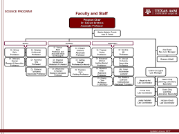 Texas A M University At Qatar Organizational Chart
