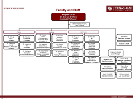 texas a m university at qatar organizational chart