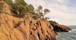 The rooms where clean and the bed was perfect. Beaches And Coves