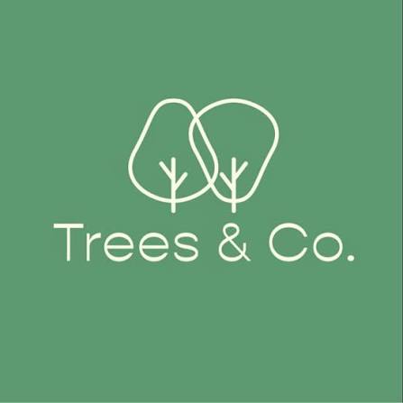 ร้านอาหาร Trees&co (ทรีส์ แอนด์ โค) มีนบุรี กรุงเทพฯ