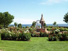 Order flowers with same day delivery from engwall florist & gifts, your local florist in duluth, mn. Roses In Bloom Review Of Leif Erickson Park Duluth Mn Tripadvisor