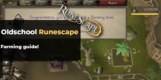 Garden of tranquillity quick guide runescape wiki. Osrs Farming Guide The Best Routes To 99 Mmo Auctions