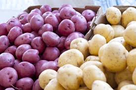 We did not find results for: Grow Your Own Potatoes Osu Extension Service