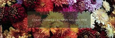 Maybe you would like to learn more about one of these? Cheap Flower Delivery Melbourne Broadmeadows Blooms