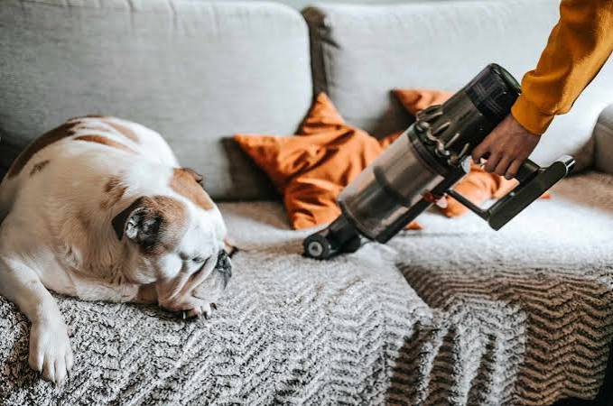 How I Keep My Home Clean With Two Pets and a Toddler