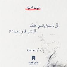 ك ل ل ه س عي ه من اجمل ابيات الحكمه لـ أبو العتاهية عالم الأدب Words Quotes Spirit Quotes Positive Vibes Quotes