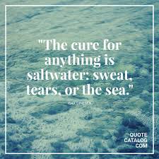 Water is a priceless gift of nature, so save it for future. Quote Catalog On Twitter The Cure For Anything Is Saltwater Sweat Tears Or The Sea Isak Dinesen Http T Co Hnx4eqnywa