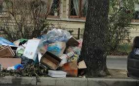 Cererea persoanei varstnice sau adresa notar public prin care se solicita desemnarea unui reprezentant al autoritatii tutelare in vederea asistarii persoanei varstnice Romprest AnunÈÄ CÄ Nu Va Mai Ridica Gunoiul Menajer In Sectorul 1 DacÄ PrimÄria ContinuÄ SÄ Amane O Serie De PlÄÈi