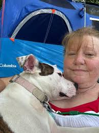 Whats being built behind the animal shelter?