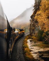 Fall Starts Early Up North In Alaska I Have Had The Best Start To Our Pursuitalaska Trip We Took The Alaska Passenger Train To Train Train Rides Trip