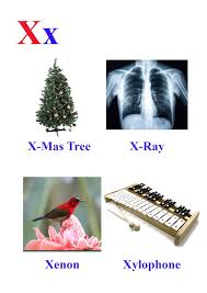 Lets learn about the words that start with the letter x. Words With The Letter X Words Ruef