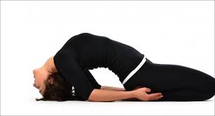 Maybe you would like to learn more about one of these? Matsyasana Fish Pose Yoga Vimoksha Goa