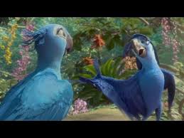 Birds Of A Feather Song Rio Rio 2 Welcome Back Song By Bruno Mars Bruno Mars Songs Bruno Mars Rio Movie