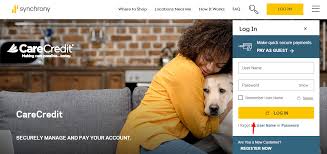 Don't worry about your due dates for credit card bill payment as you can pay your credit card bills from anywhere and anytime on paytm. Can I Pay My Synchrony Bill Online