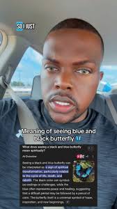 Meaning of Black and Violet Butterfly