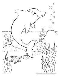 Dolphin Coloring Pages Dolphin Coloring Pages Spiderman Coloring Animal Coloring Pages