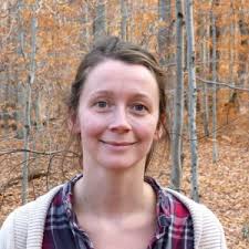 Where Do Hummingbirds Go In the Winter? Do They Migrate?