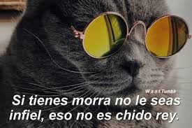 Asi Es En 2020 Fond D Ecran Style Fond Ecran Comment Dessiner Un Chat