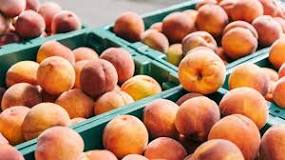 Do you eat peach skin?