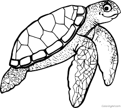 There is the collection of sea turtle coloring pictures below. Turtle Coloring Pages Coloringall