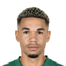 Justin Gideon Njinmah