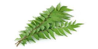 Pun begitu, tidak semua antara kita menjadikan amalan memakan daun kari ini sebagai keniasaan. 9 Manfaat Daun Kari Yang Sayang Jika Dilewatkan