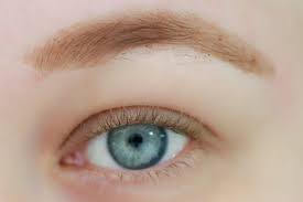 We did not find results for: Wie Funktioniert Das Maybelline Tattoo Brow Gel Innenaussen