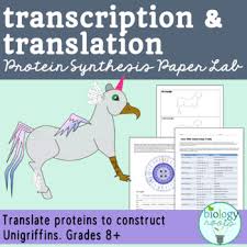 Making your personal worksheets is easy, and it enables you to comprise simply the right fabric that you want to make certain your students can gain knowledge of and commit to memory. Transcription And Translation Worksheets Teachers Pay Teachers