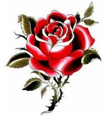 Find & download free graphic resources for rose with thorns. Red Rose Rose Thorns Roses Drawing Rose