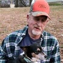 David E Raines Obituary