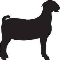 Each pair ships quickly and directly from us, and can be returned for site credit. Goat Silhouette Boer Goats Showing Livestock