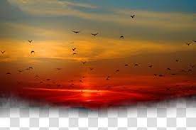 Silhouette Of Birds Flying During Golden Time Sunset Sky Cloud Sunset Under The Birds Transparent Background Png Clipart Sunset Sky Color Splash Art Clouds