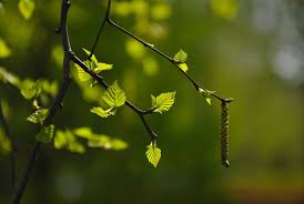 Find the large collection of 25000+ nature background images on pngtree. Nature Blur Background Hd All Products Are Discounted Cheaper Than Retail Price Free Delivery Returns Off 69