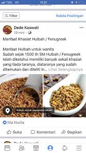 Rasulullah saw menganjurkan kita untuk menggunakan habbatussauda, sesungguhnya habbatussauda dapat ginkgo untuk optimalkan kerja otak. Jual Biji Hulbah Asli Madinah Di Lapak Dede Kaswati Bukalapak