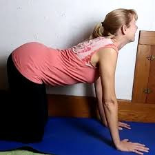 Yoga Dog Cat Pose For Beginners This Can Activate The Sacral Solar Plexus Chakras These Areas Can Be Blocked Easily From In 2020 Cow Pose Yoga Videos Dog Yoga