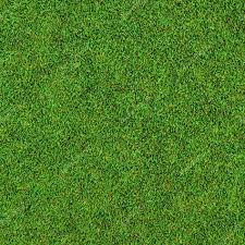 Background Texture Beautiful Green Grass Pattern Golf Course Stock Phot Affiliate Beautiful Green Grass Pattern Grass Texture Seamless Grass Textures