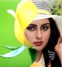 Roses are cute, but loyalty hits different 🌹❤️