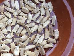 Cucuzza squash has light green inedible skin and the white flesh contains many seeds. Preserving Our Italian Heirlooms The Italian Garden Project