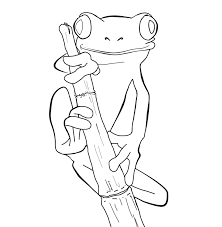 Color these frog coloring pages on your lily pad. Free Frog Coloring Picture 25 Frog Coloring Pages Frog Drawing Animal Coloring Pages